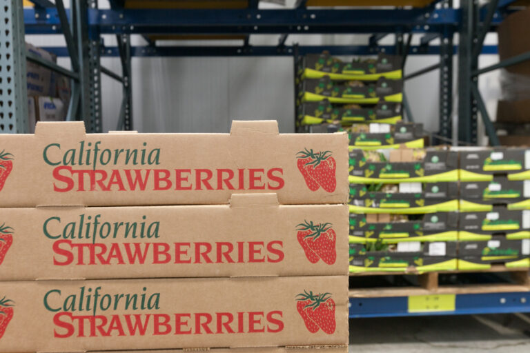 Stacked produce boxes labeled California Strawberries beside rows of green crates in a market aisle.